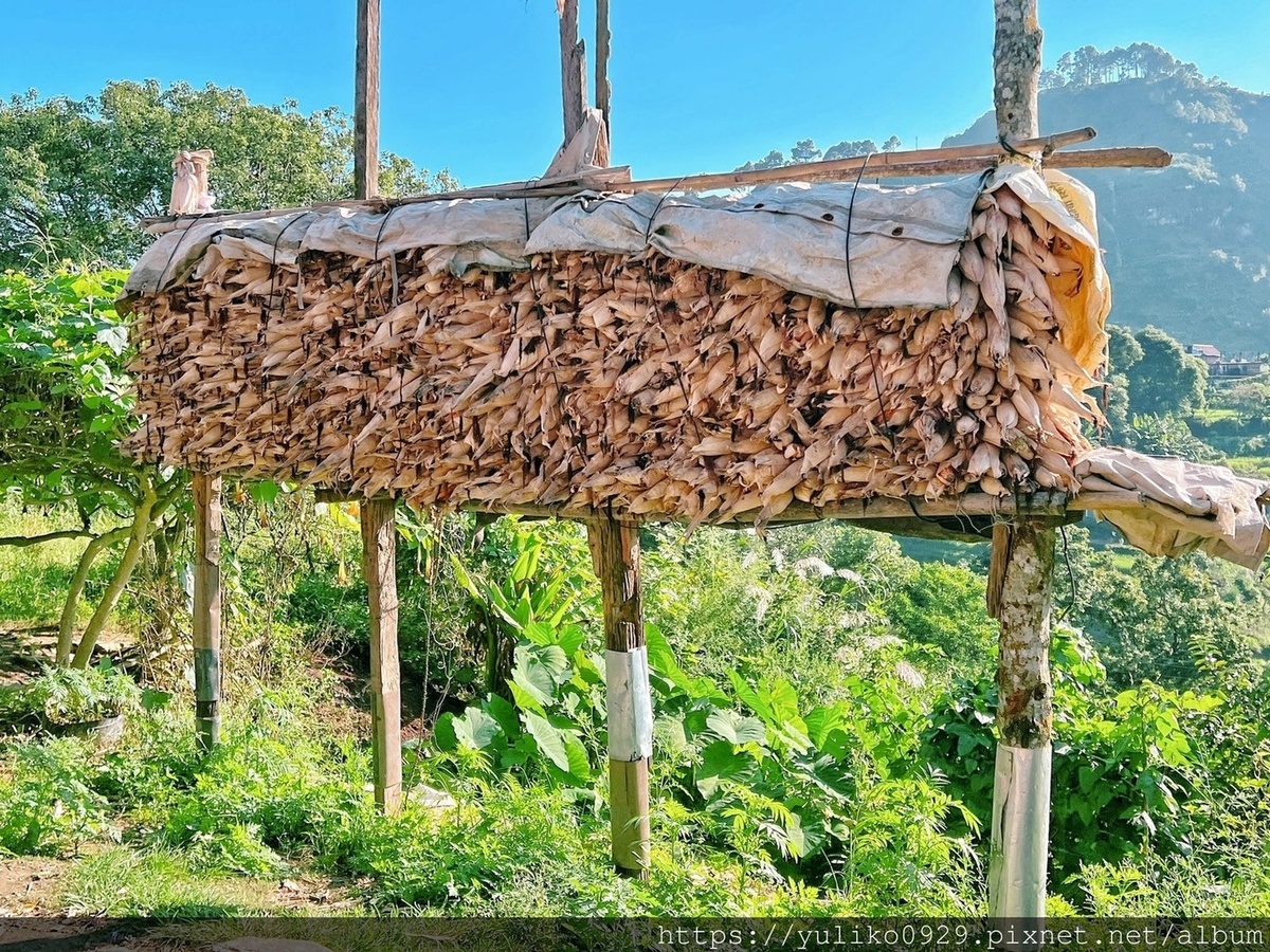 【南亞-尼泊爾旅遊(九)】班迪普爾(Bandipur) @YULIKO x 琇的異世界*。゚ 【南亞-尼泊爾旅遊(九)】班迪普爾(Bandipur) @YULIKO x 琇的異世界*。゚