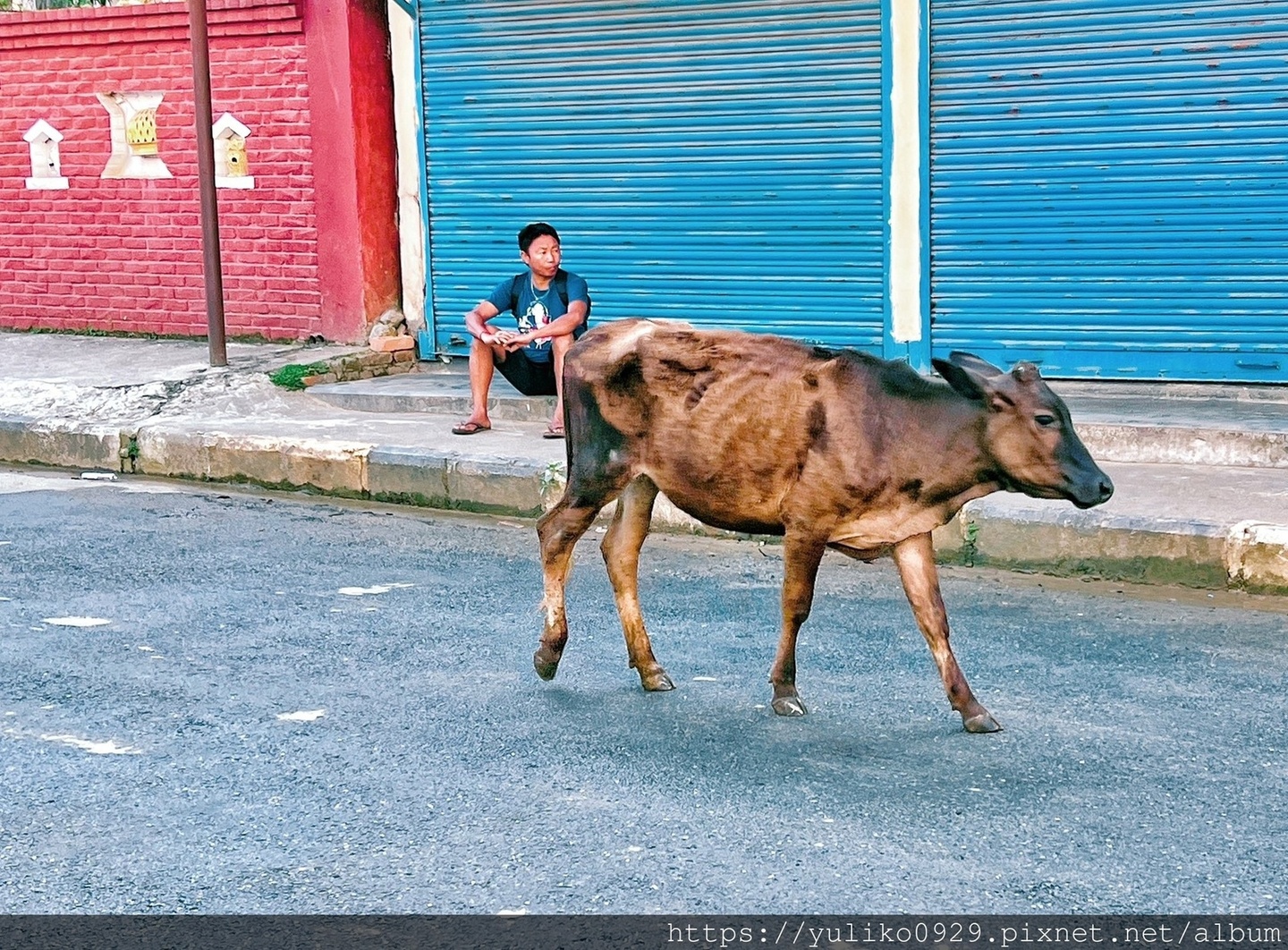 【南亞-尼泊爾旅遊(五)】波卡拉(Pokhara) @YULIKO x 琇的異世界*｡ﾟ