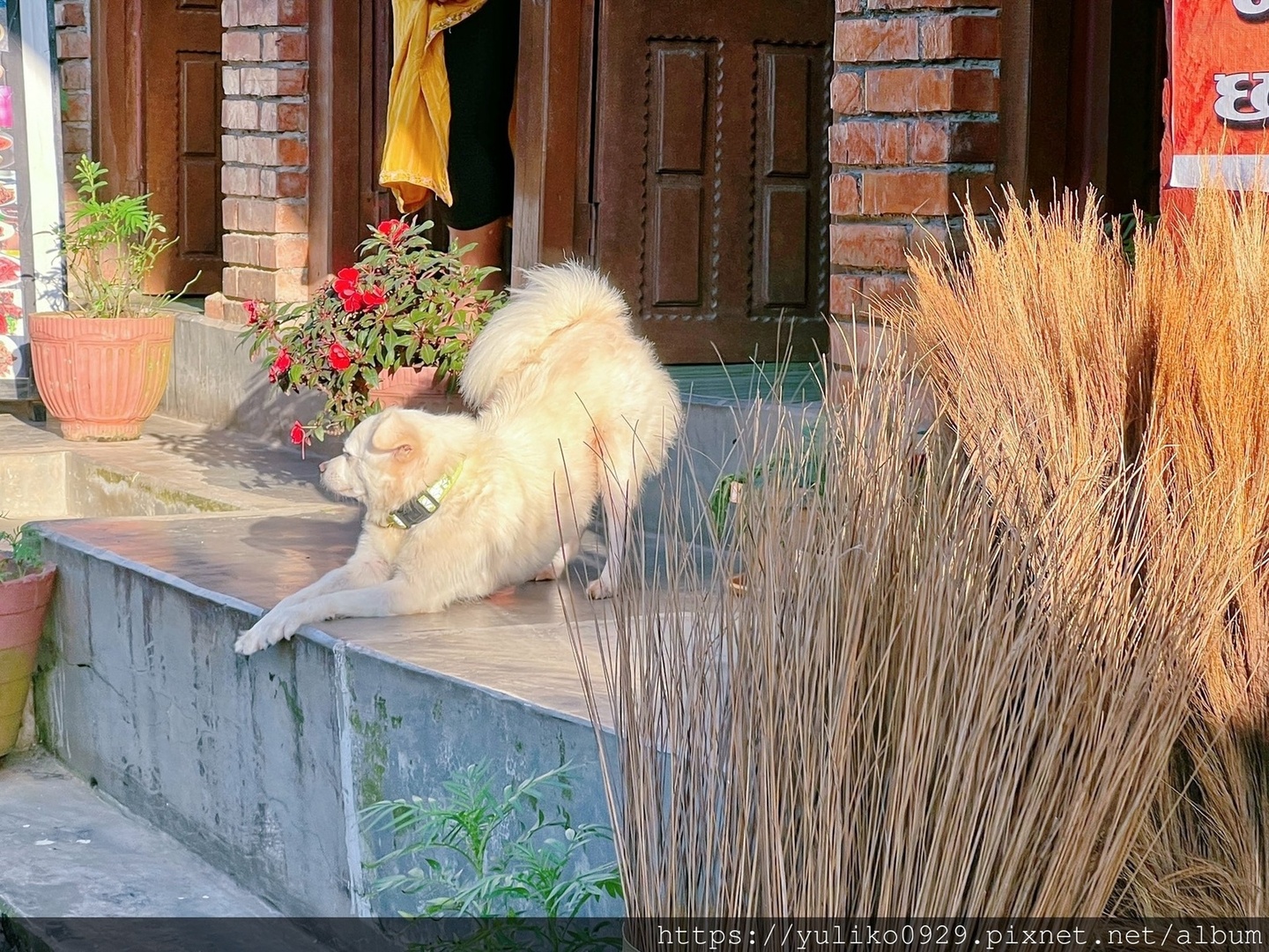 【南亞-尼泊爾旅遊(九)】班迪普爾(Bandipur) @YULIKO x 琇的異世界*｡ﾟ