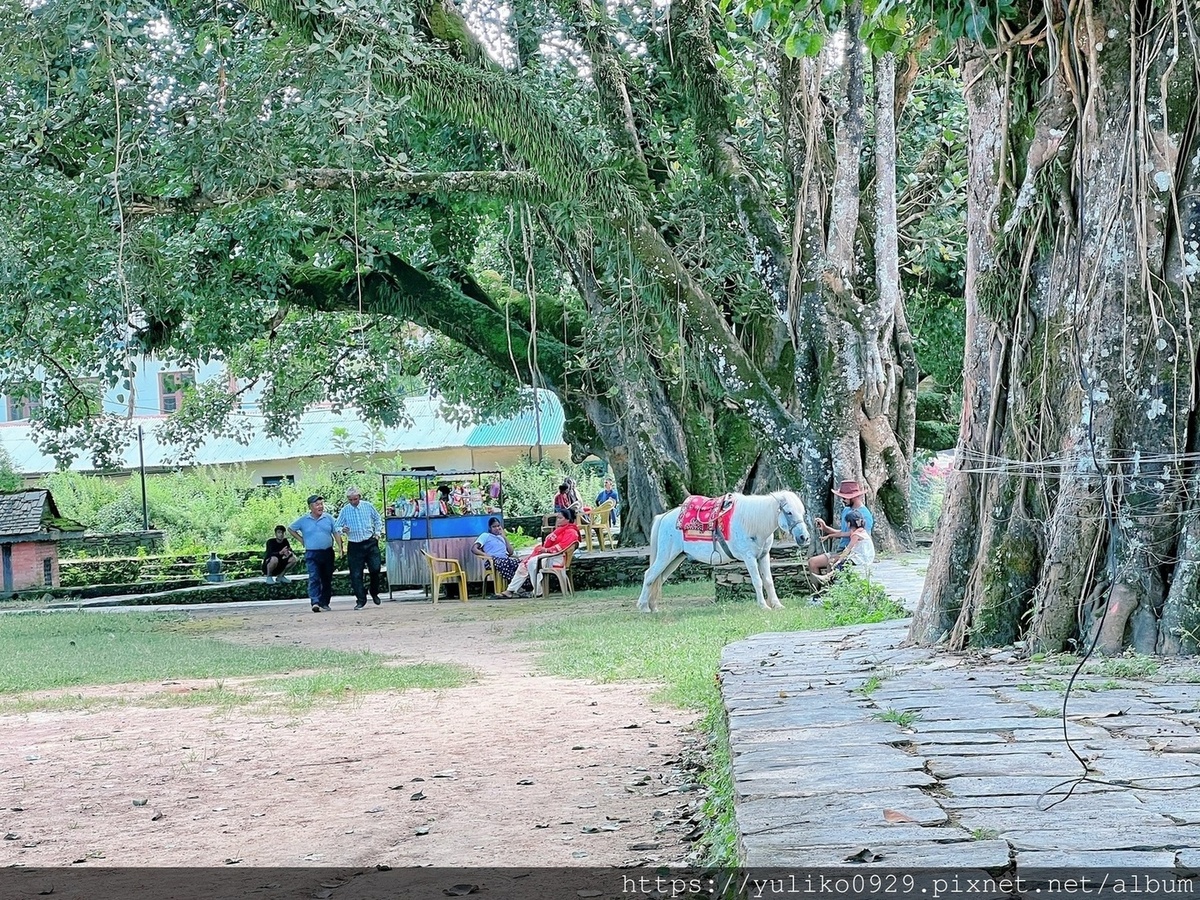 【南亞-尼泊爾旅遊(九)】班迪普爾(Bandipur) @YULIKO x 琇的異世界*｡ﾟ